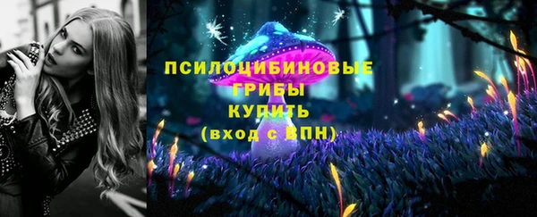 МДПВ Аркадак