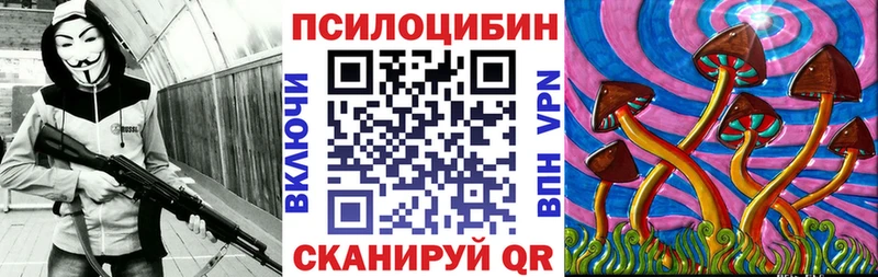 закладки  Нюрба  Псилоцибиновые грибы MAGIC MUSHROOMS 