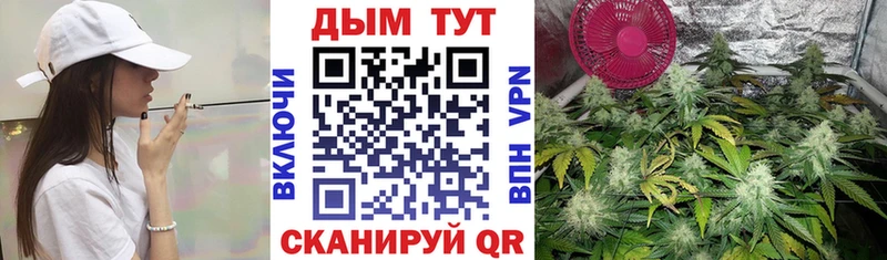 Конопля сатива hydra зеркало Нюрба